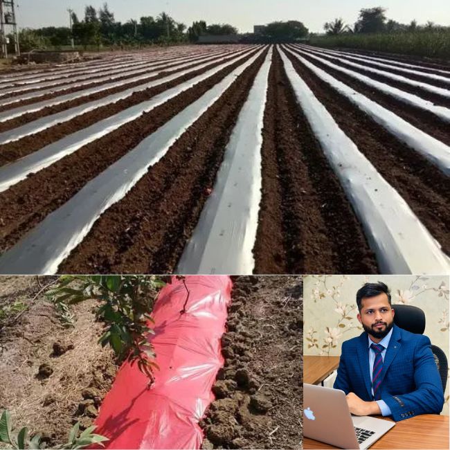 maharashtra arun awatade crop mulching sheet