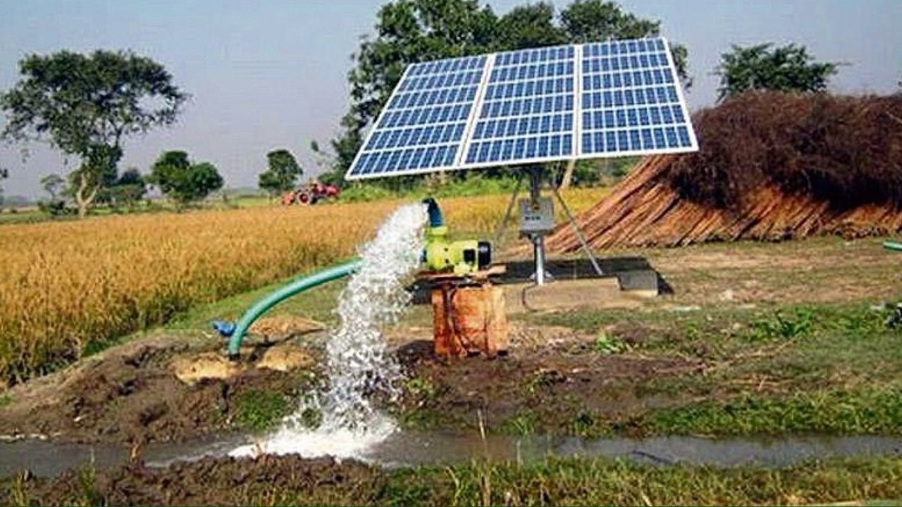 Farmers Irrigating Using Solar Energy Instead Of Wells Ponds Water Under Pm Kusum Scheme They Shifted Focus Toward Horticultural Crops