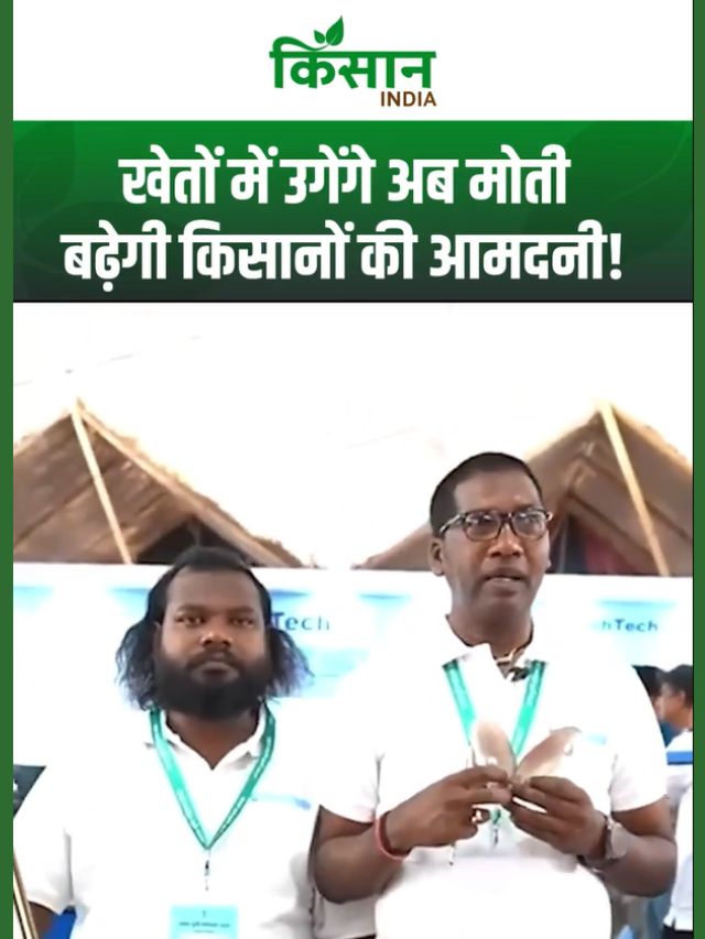 जानिए मोती की खेती कैसे होती है, कितनी लागत होती है और कितना मुनाफा मिलता है