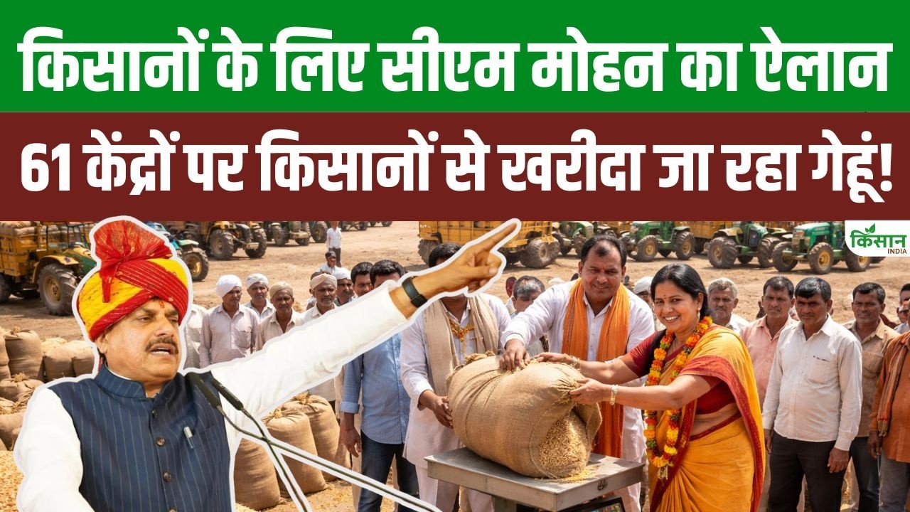 Cm Mohan Big Gift To Farmers Wheat Procurement Begins At 61 Centers Msp Plus Bonus Boost Earnings