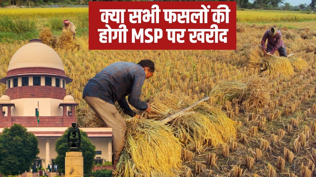 Supreme Court Msp Hearing Msp Received Under C2 Formula Agriculture News