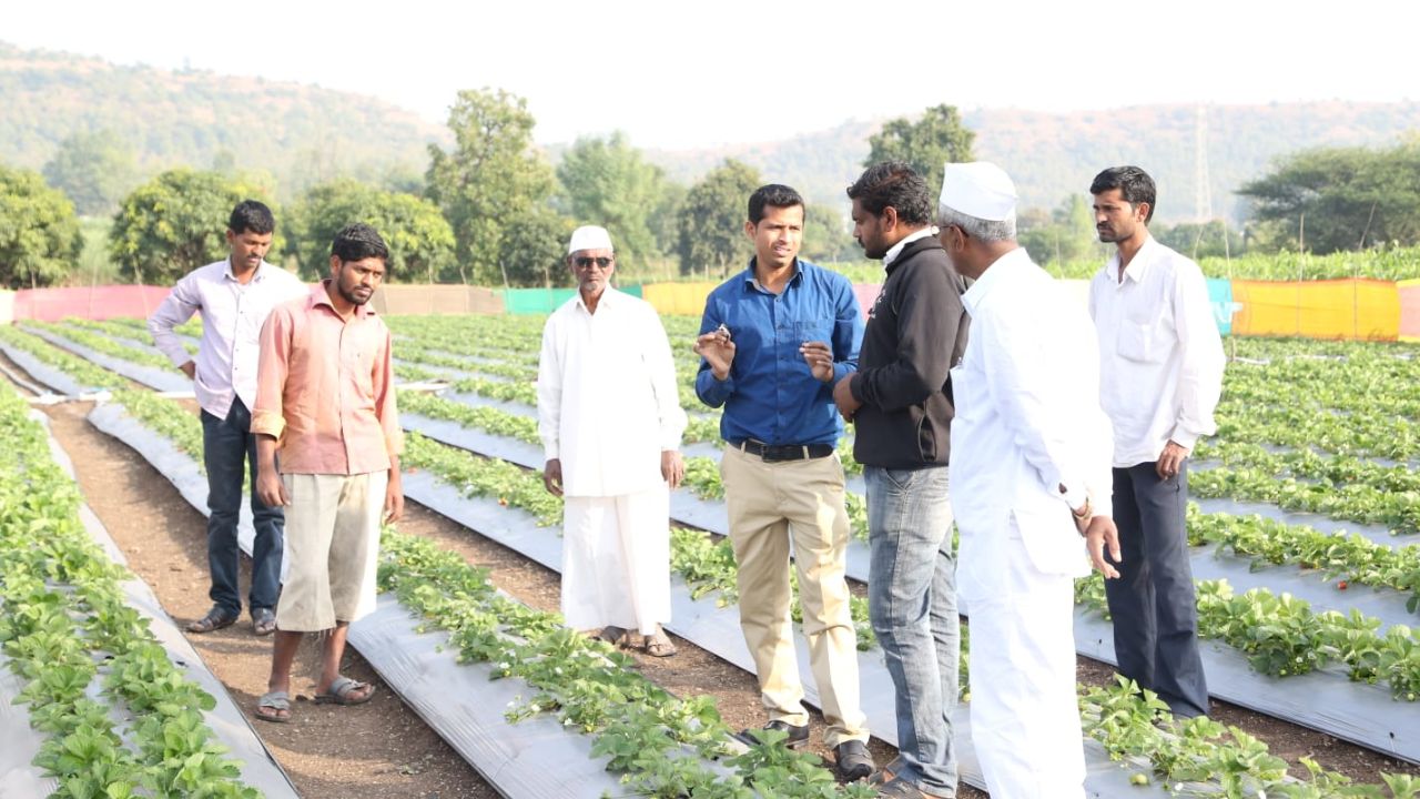 Maharashtra Arun Awatade Started Crop Mulching Sheet Producing Business With Loan Of %e2%82%b92 Lakh Today Iris Group Turnover Crossed Rs 33 Crore Success Story