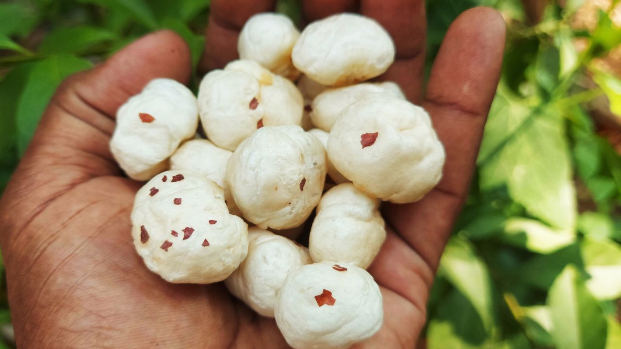 Bihar Makhana Vikas Yojana 2026 27 Subsidy Processing Unit Export Business Farmers Superfood