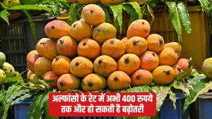 अक्षय तृतीया के चलते फ्रूट मार्केट में हलचल, अचानक कीमतों में बढ़ोतरी.. 2000 रुपये दर्जन हुआ आम