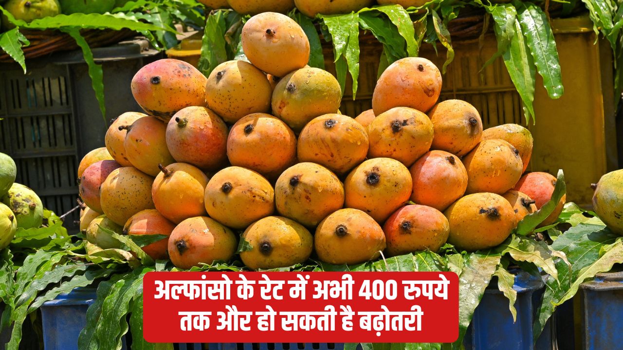 अक्षय तृतीया के चलते फ्रूट मार्केट में हलचल, अचानक कीमतों में बढ़ोतरी.. 2000 रुपये दर्जन हुआ आम