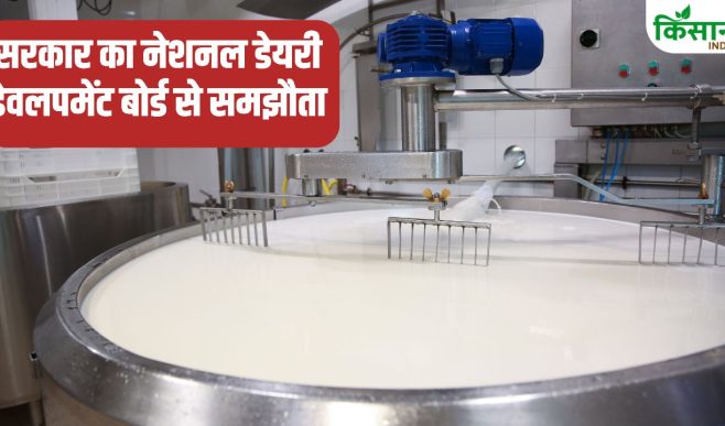 हिमाचल में मिल्क यूनियन खोलने का ऐलान, किसानों को मिलेगी ट्रेनिंग.. इतने जिलों को होगा फायदा