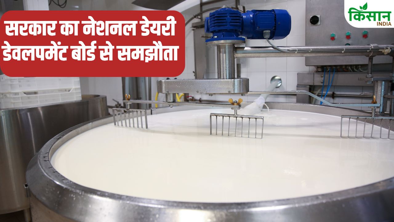 हिमाचल में मिल्क यूनियन खोलने का ऐलान, किसानों को मिलेगी ट्रेनिंग.. इतने जिलों को होगा फायदा