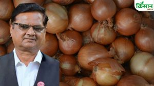 प्याज खरीद की तैयारियां तेज, 2 लाख टन है लक्ष्य.. सरकार के फैसले से शेतकरी संगठन के नेता नाराज