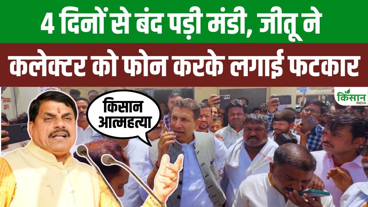 Farmers Protest Outside Market Jitu Patwari Reprimands Collector Increasing Pressure On Cm Mohan Sarkar