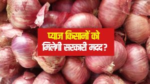 मंडियों में प्याज फेंक खाली हाथ घर लौट रहे किसान, कलेक्टर ने किसानों के लिए जारी की सलाह