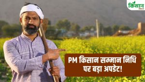 PM किसान में बड़ा एक्शन! अब हटेंगे फर्जी और मृत लाभार्थी के नाम, सरकार ने जारी किए सख्त निर्देश