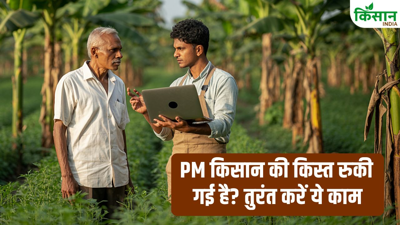 Pm Kisan Samman Nidhi Installment Stuck Update Aadhaar Bank Land Details Before 30 April To Get Payment
