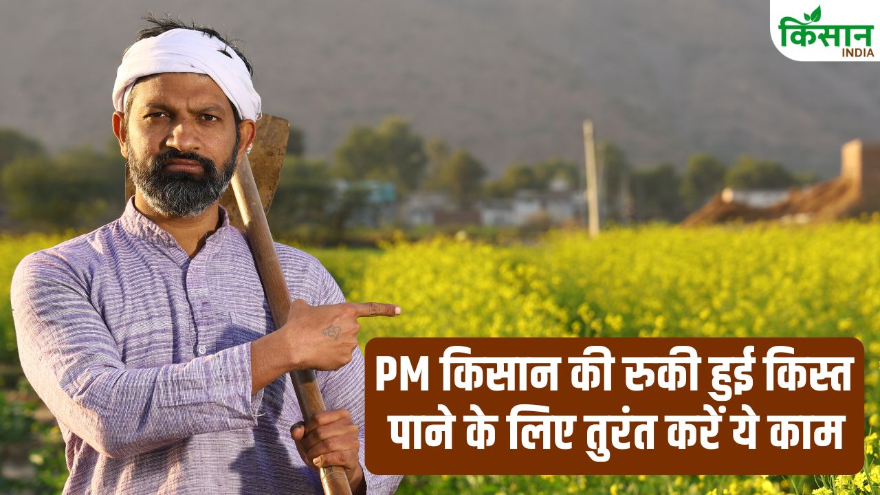 Pm Kisan Samman Nidhi Installment Stopped How To Update Documents Details Csc Center Farmers Guide