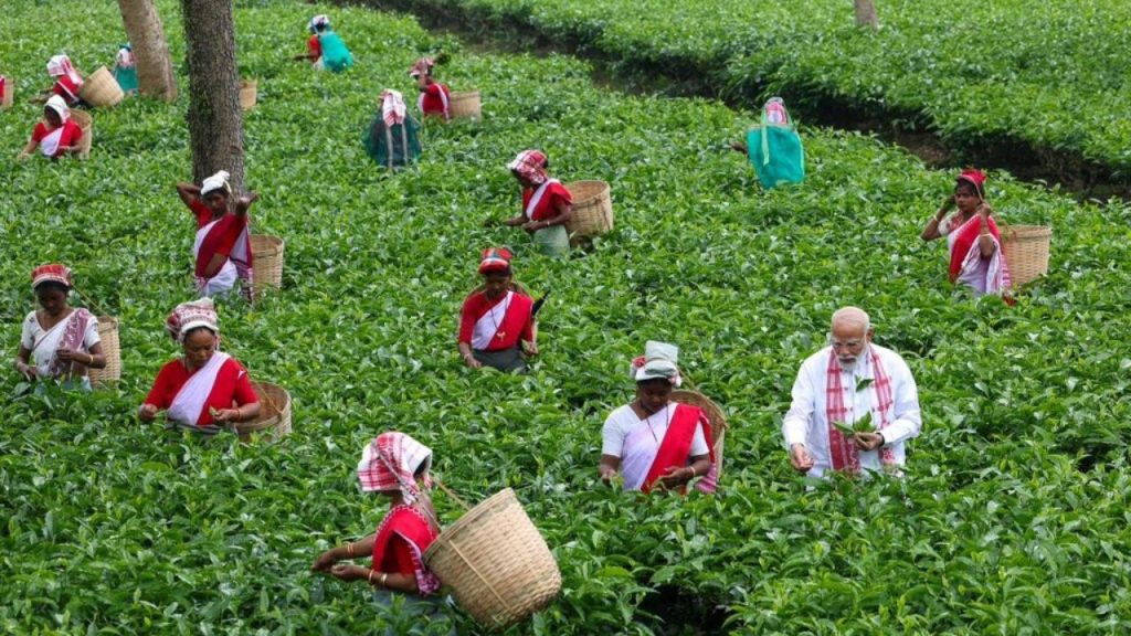 असम में सभी 126 विधानसभा सीटों के लिए मतदान 9 अप्रैल को एक चरण में होगा और वोटों की गिनती 4 मई को. पीएम मोदी ने चुनावी रैलियों में पिछले दस सालों में भाजपा शासन में राज्य के विकास, सेवा और सुशासन के कार्यों को उजागर किया.