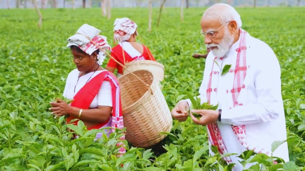 असम में इतनी चाय बनती है कि यह पूरे भारत के चाय उत्पादन का आधा हिस्सा है. हर साल ब्रह्मपुत्र और बारक घाटियों में लगभग 630–700 मिलियन किलो चाय उगाई जाती है. दिब्रूगढ़, तिनसुकिया और जोरहाट ऐसे मुख्य इलाके हैं जहां चाय सबसे ज्यादा उगती है. यही वजह है कि असम की चाय पूरे दुनिया में मशहूर है.