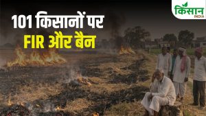 बिहार में 101 किसानों पर सख्त कार्रवाई, 3 साल का लगा बैन.. नहीं मिलेगा सरकारी लाभ