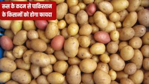 रूस ने पाकिस्तान को दी बड़ी राहत, आलू आयात से हटाया बैन.. जानें भारत पर क्या होगा असर