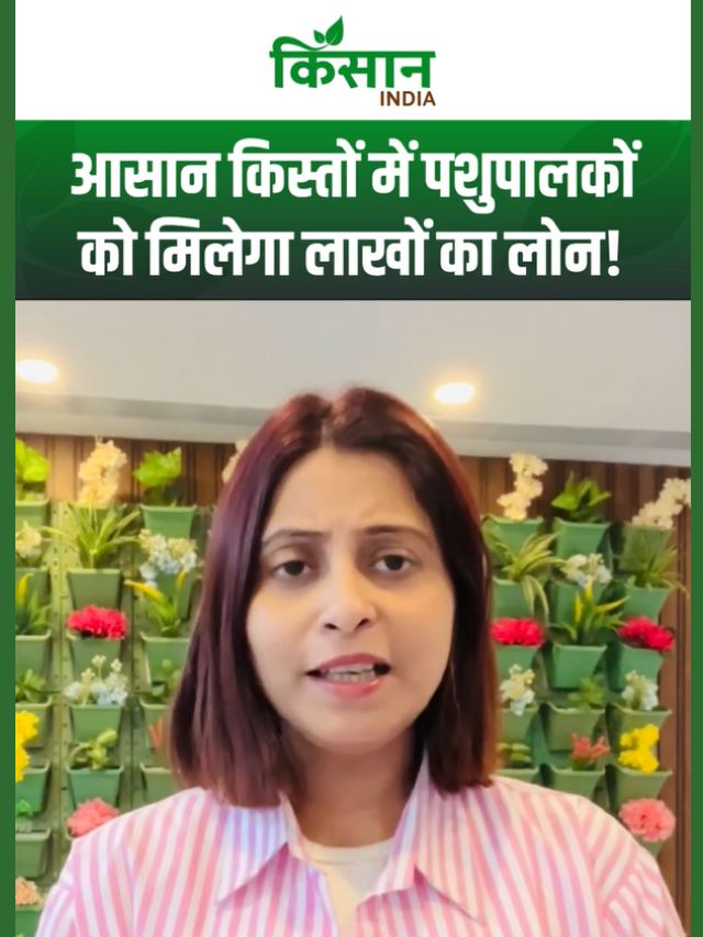 Pashu Kisan Credit Card Yojana :पशुपालकों को मिलेगा लाखों का लोन, बिना गारंटी के आसान किस्तों में