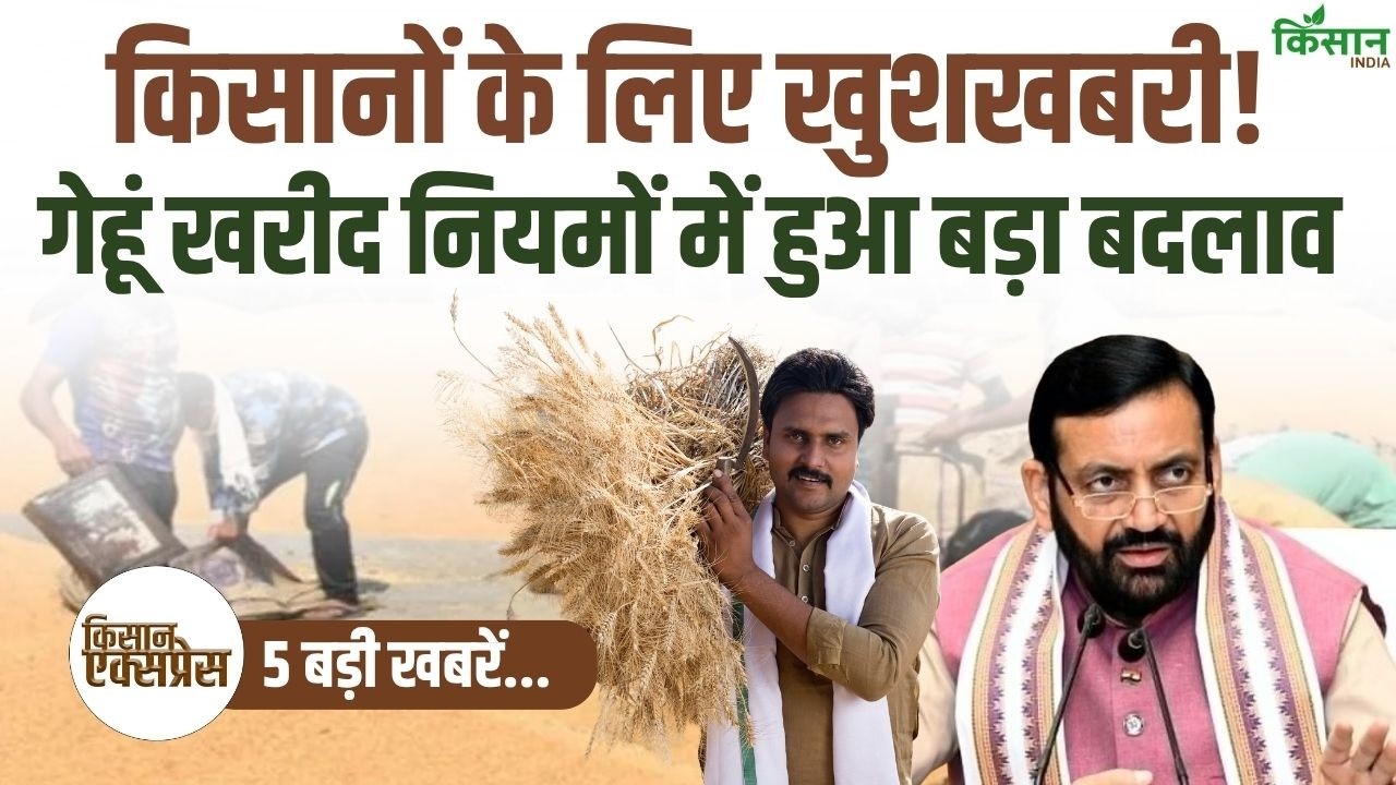 Top 5 Agriculture News Government Made Major Change Wheat Procurement Rules Now They Get More Benefits