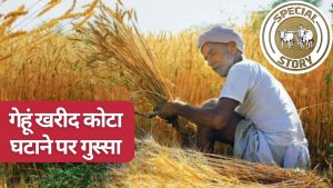 गेहूं खरीद केंद्रों का कोटा घटाने पर किसानों में आक्रोश, सरकार की मंशा पर उठे सवाल  