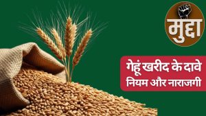 गेहूं खरीद पर 5 दिन में 5 बड़े निर्णयों से कितनी बढ़ी रफ्तार, सरकारी दावों पर क्या कह रहे किसान