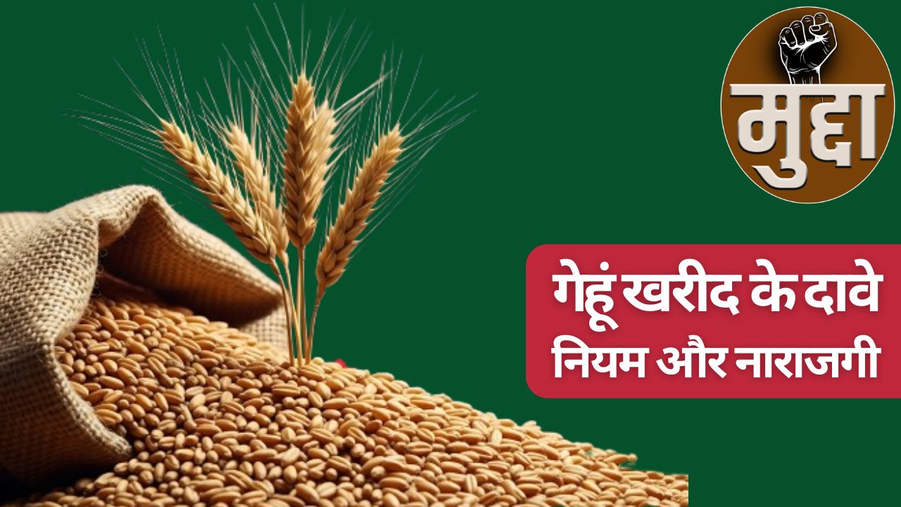 Wheat Procurement Speed Shifted Following 5 Major Decisions In Just 5 Days And What Are Farmers Leader Saying About Mp Govt Wheat Purchase Claims