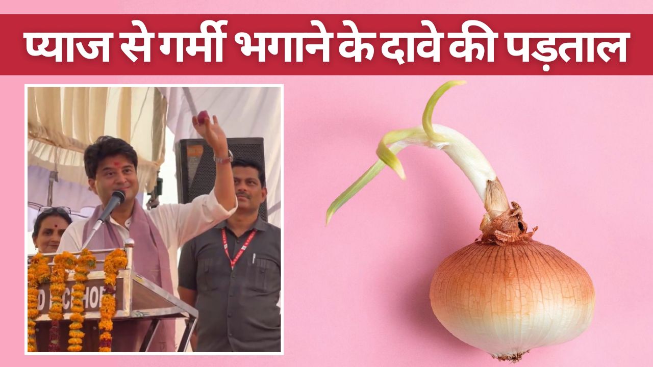 If You Keep An Onion In Your Pocket Nothing Will Happen Even In 51 Degree Heat Jyotiraditya Scindia Claim And What Doctors Expert Opinion