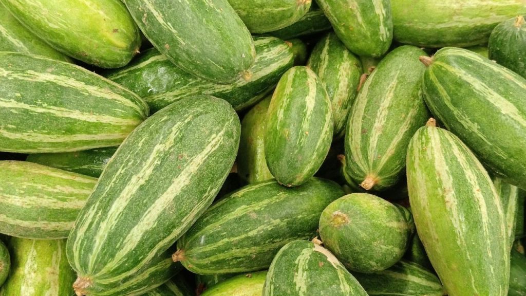 फसल के सही विकास के लिए बोरॉन, पोटाश और अन्य सूक्ष्म पोषक तत्व बेहद जरूरी होते हैं. बोरॉन की कमी होने पर फूल कमजोर हो जाते हैं और झड़ने लगते हैं. वहीं, ज्यादा नाइट्रोजन और पोटाश की कमी भी पौधे के हार्मोन संतुलन को बिगाड़ देती है.