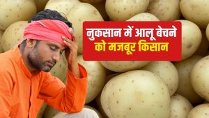 बंगाल में लागत से कम आलू का मार्केट भाव, कई जगहों में 3 रुपये किलो रेट.. किसान परेशान बंगाल में लागत से कम आलू का मार्केट भाव, कई जगहों में 3 रुपये किलो रेट.. किसान परेशान