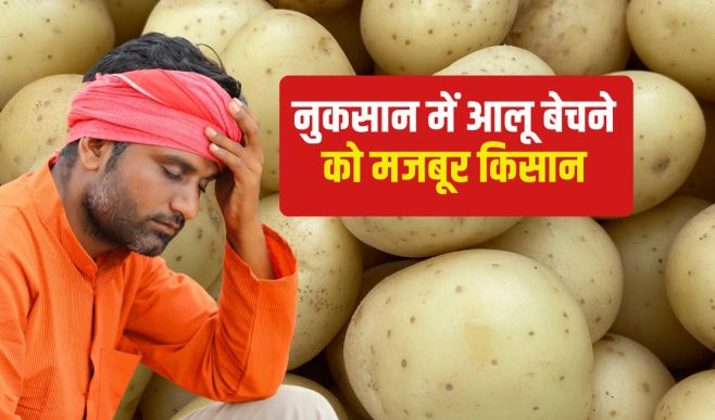 बंगाल में लागत से कम आलू का मार्केट भाव, कई जगहों में 3 रुपये किलो रेट.. किसान परेशान