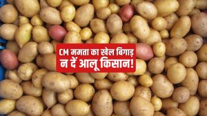 पश्चिम बंगाल में 4 रुपये किलो आलू, रेट में गिरावट से 14 लाख किसान प्रभावित.. बढ़ा सियासी पारा पश्चिम बंगाल में 4 रुपये किलो आलू, रेट में गिरावट से 14 लाख किसान प्रभावित.. बढ़ा सियासी पारा