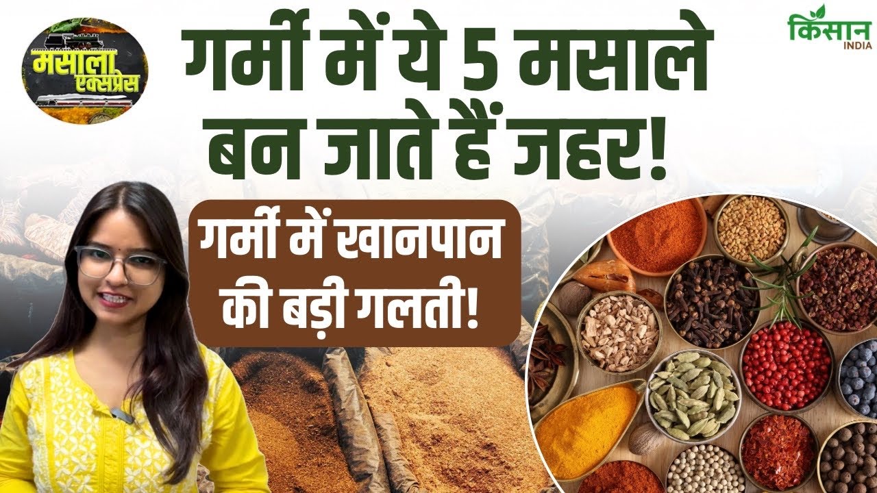 These 5 Spices Problem Summer Even Cold Water Not Save You Know Real Heat Hidden Kitchen
