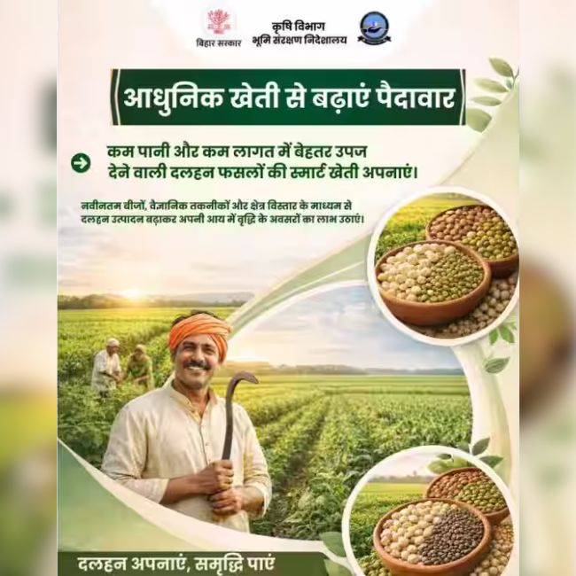 Dal ki kheti, Pulses Cultivation Bihar, Low Cost Farming, Pulse Production, Bihar Agriculture Department,