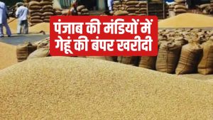 मंडियों में 94 लाख टन गेहूं की आवक.. खातों में पहुंचेंगे 19976 करोड़ रुपये.. भुगतान को मंजूरी