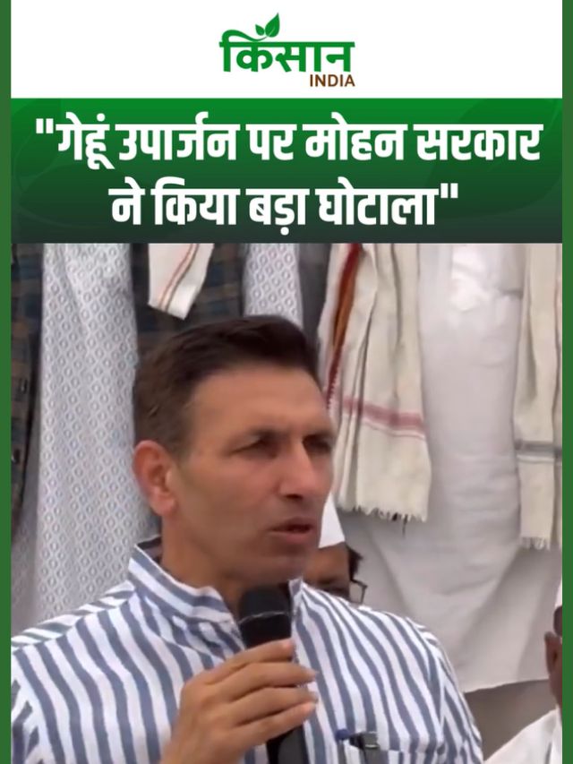 मध्य प्रदेश में “मोदी गारंटी” पर सवाल: गेहूं उपार्जन में मोहन सरकार पर जीतू पटवारी ने लगाए आरोप