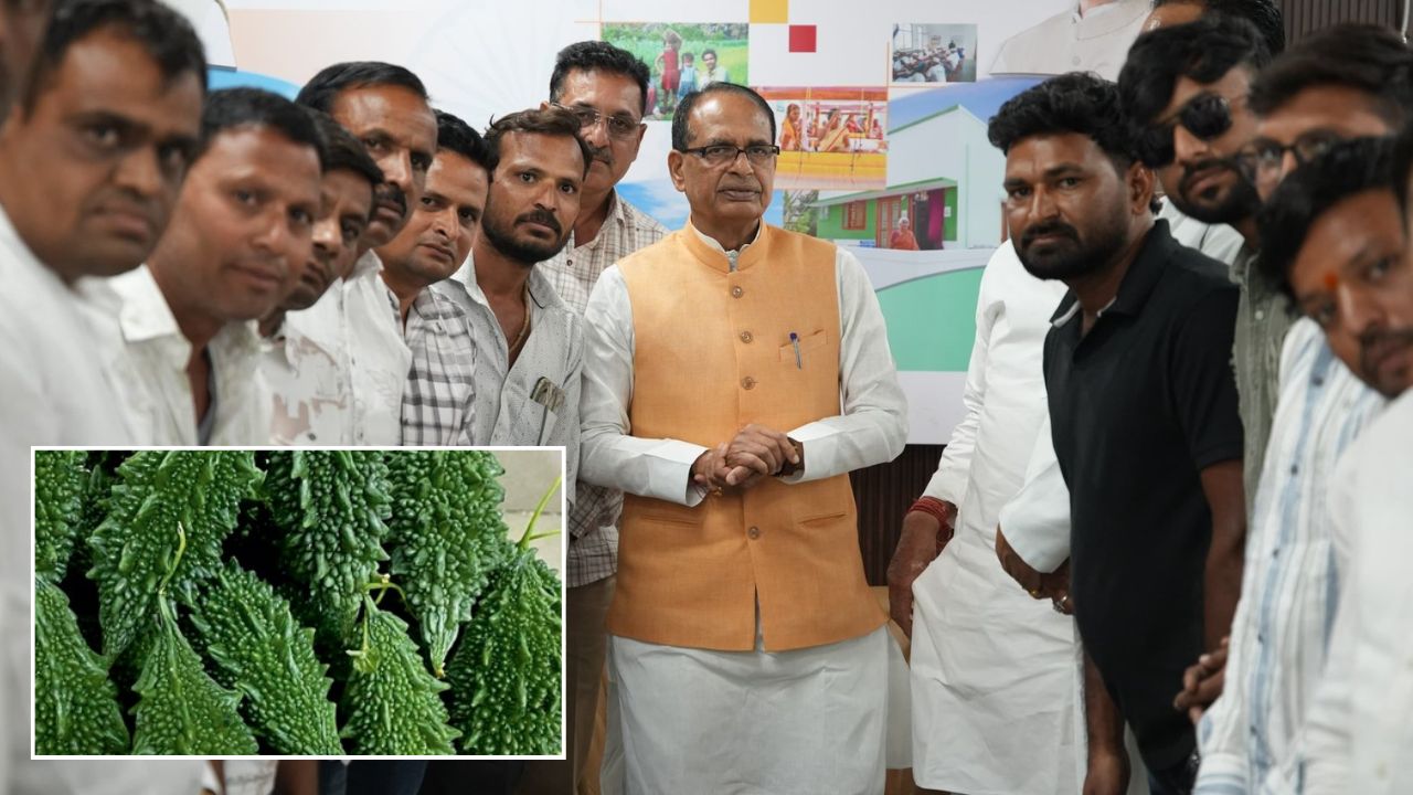 Bitter Gourd Seeds Rubasta Banned And Fir Filed Against Seed Company Nunhems India After Agri Minister Order
