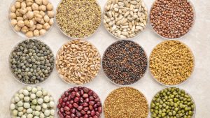 सीड पार्क के लिए 50 करोड़ की पहली किस्त जारी, किसानों को मुफ्त में मिलेंगे उन्नत किस्मों के बीज