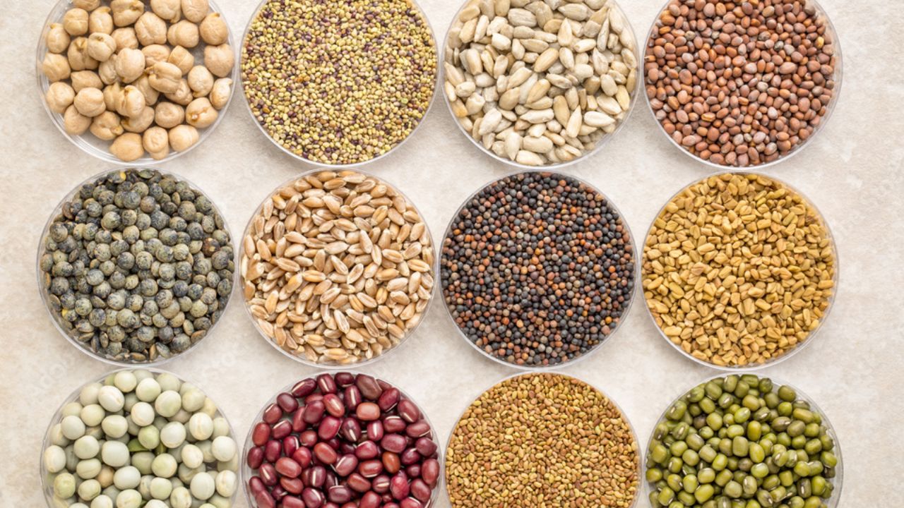 First Installment Of Rs 50 Crore Released For Lucknow Seed Park Farmers To Receive High Yielding Seeds Free Of Cost