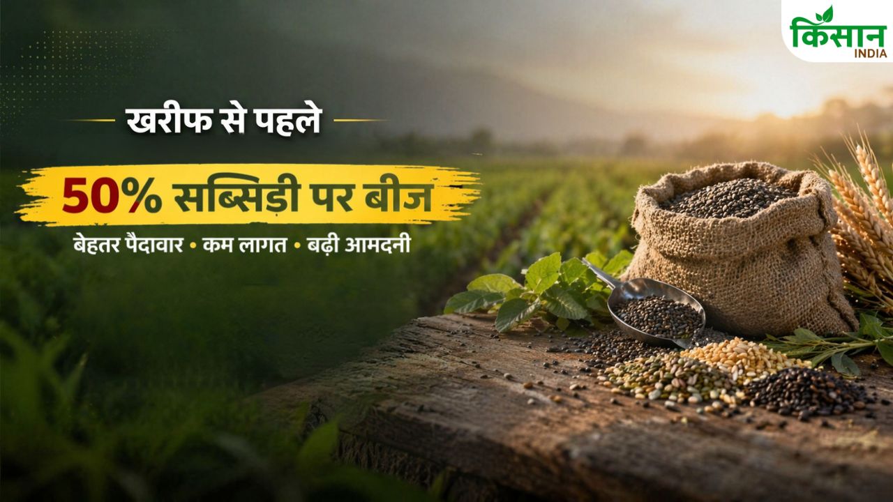 Up Government Dhaincha Seed Subsidy 50 Percent Mini Kits For Kharif Season Uttar Pradesh Farmers Benefits Scheme