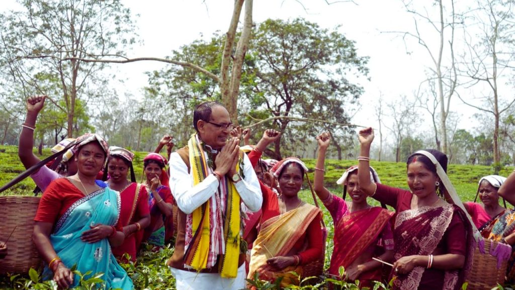 चुनाव से पहले असम पहुंचे कृषि मंत्री शिवराज सिंह चौहान, चाय किसानों से मिलकर सुनाया विकास का संदेश!