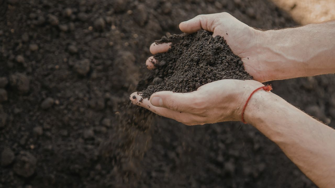 April Farming Tips Garma Dhan Vegetable Crop Care Irrigation Fertilizer Guide 2026