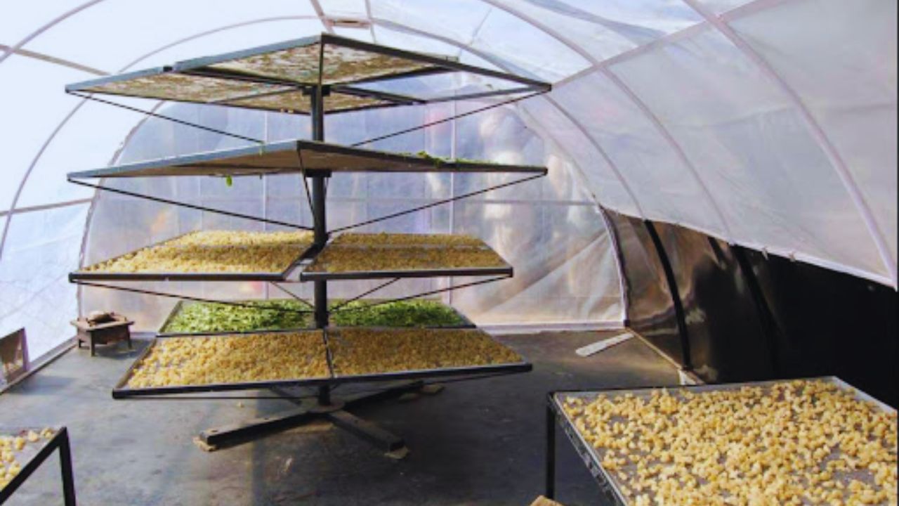 Bihar Government Solar Dryer Subsidy Scheme Bihar For Farmers To Preserve Crops Increase Income