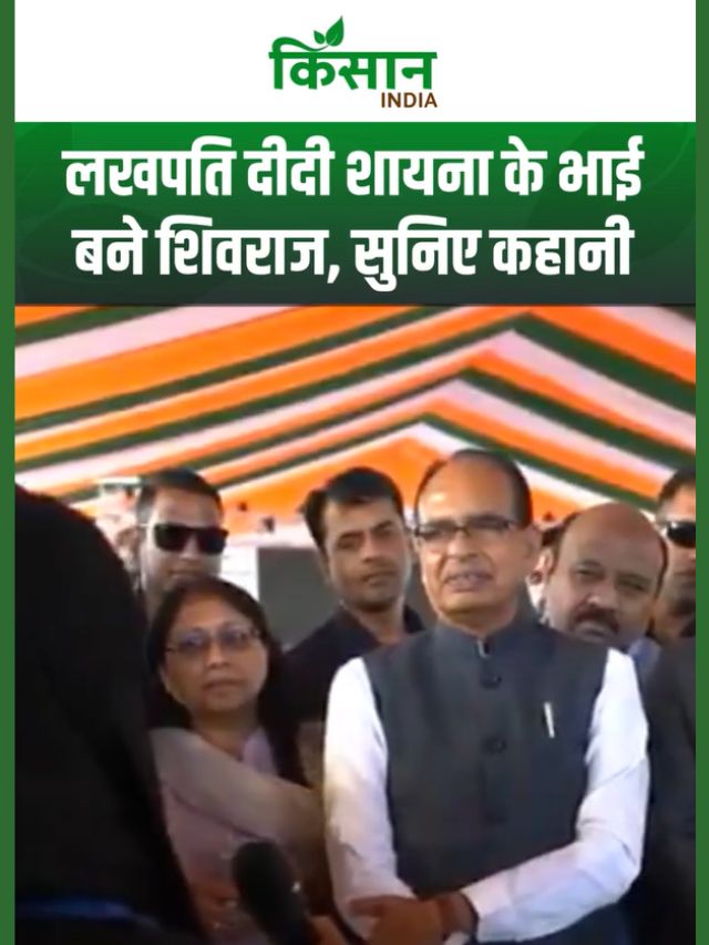 श्रीनगर की लखपति दीदी शायना ने शिवराज सिंह के सामने सुनाई संघर्ष से सफलता तक की प्रेरणादायक कहानी