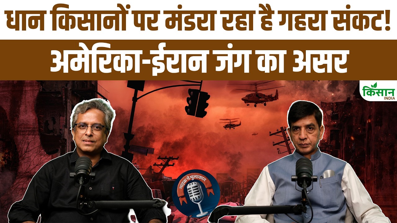 जंग की वजह से चावल बाजार में हलचल, एक्सपोर्ट से किसानों तक असर पर अजय भालोटिया की खास बातचीत