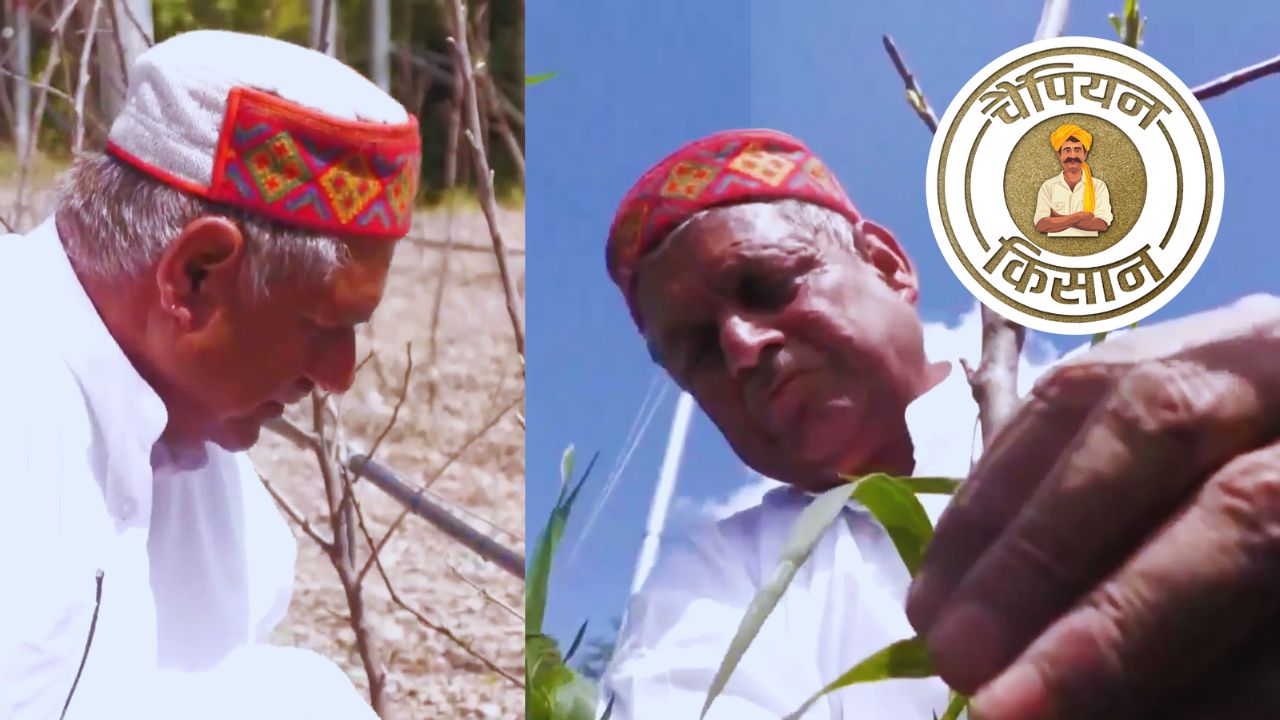 Udhampur Apple Farmer Success Story Government Subsidy High Density Farming