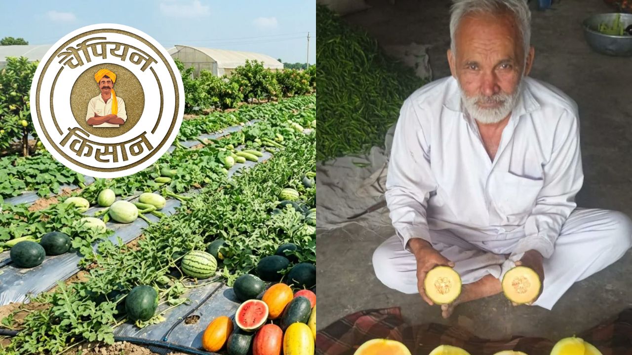 Success Story Watermelon Farmer Success Story Krishi Ratna Award Haryana Ram Pratap Sharma