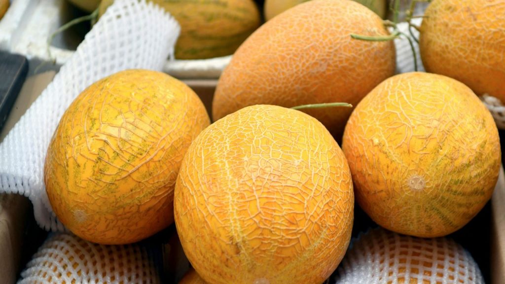 कई बार खरबूजा अंदर से कच्चा, फीका या ज्यादा बीज वाला निकलता है, जिससे खाने का मजा खराब हो जाता है. इसलिए सही पहचान के साथ ही खरीदारी करना जरूरी है.