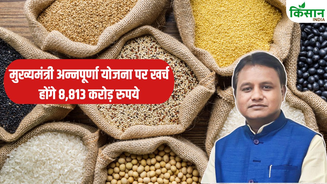 Odisha Government Provides Relief Ration Card Holders Now They Get 10 Kg Rice Every Month Household Expenses Will Be Easier