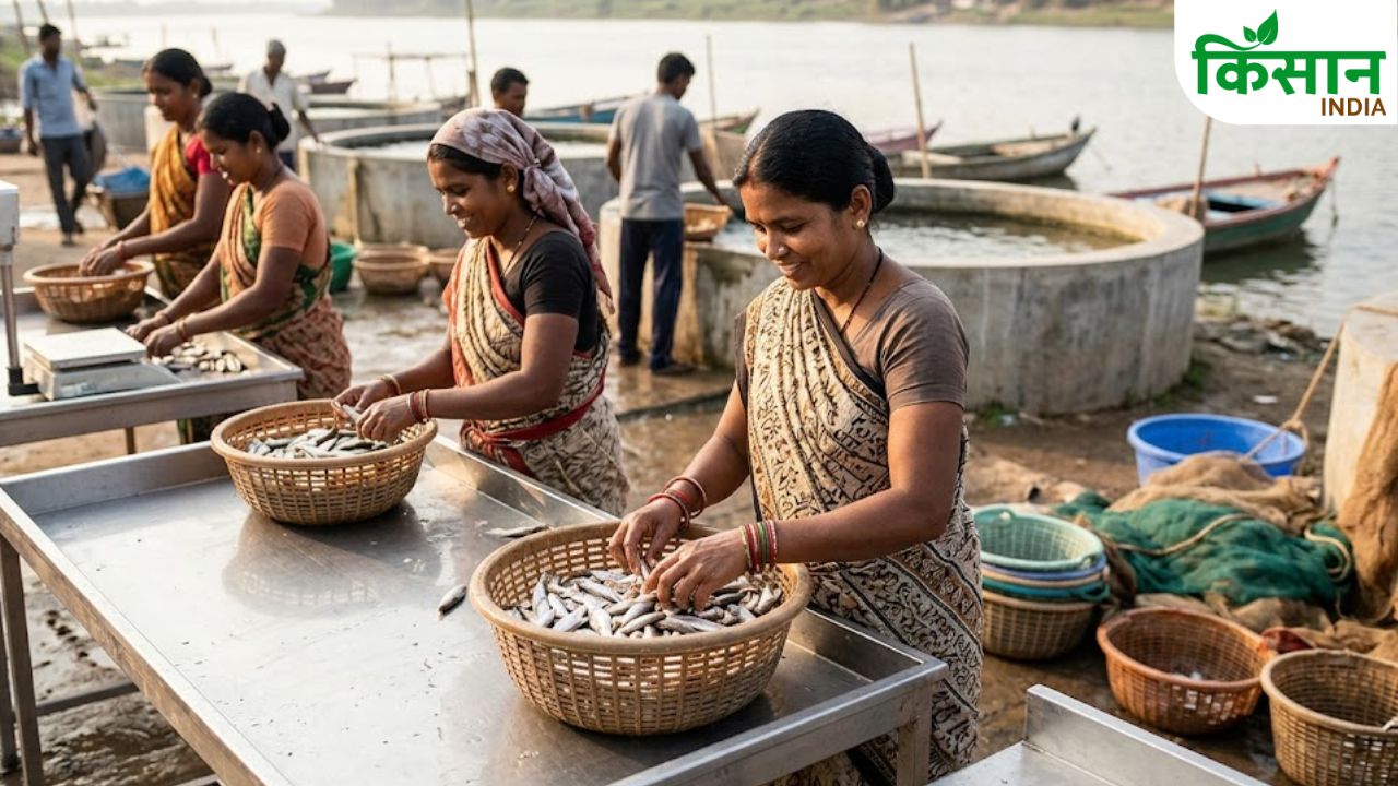 Pm Matsya Samridhi Yojana 15000 Incentive For Employing Women Fisheries Sector