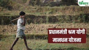 सिर्फ छोटी बचत से बुढ़ापा सुरक्षित, 60 के बाद हर महीने 3000 रुपये पेंशन देगी PM-SYM योजना
